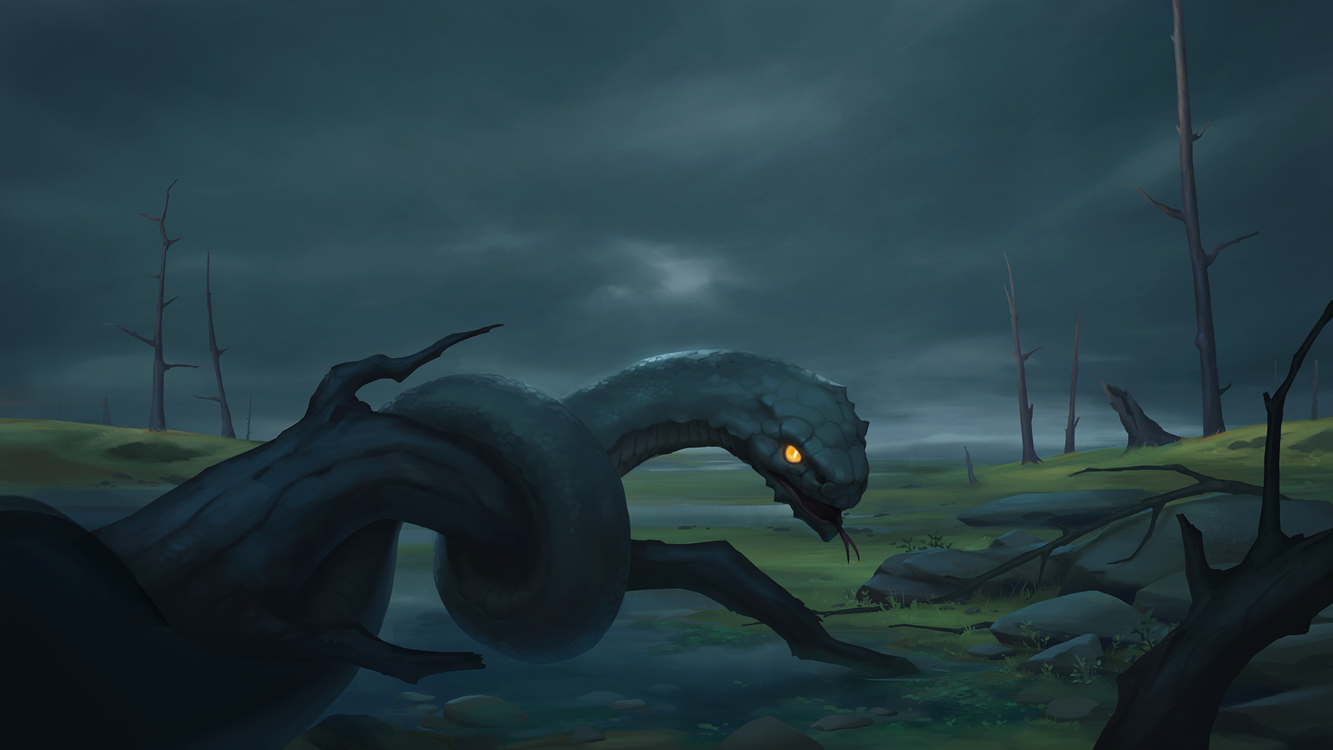 Screenshot 13